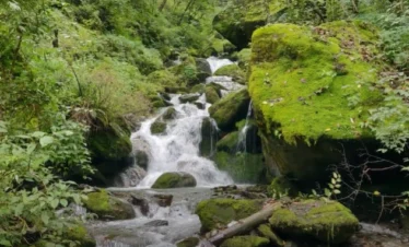 Gidara Bugyal Trek Package