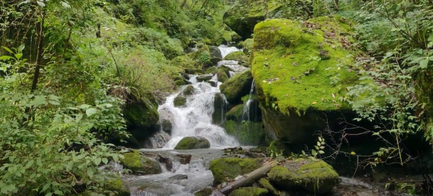 Gidara Bugyal Trek Package