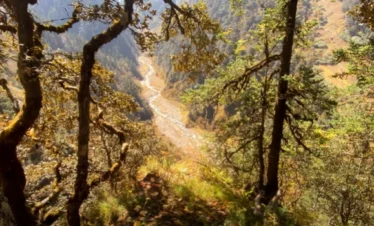 Gidara Bugyal Trek Package