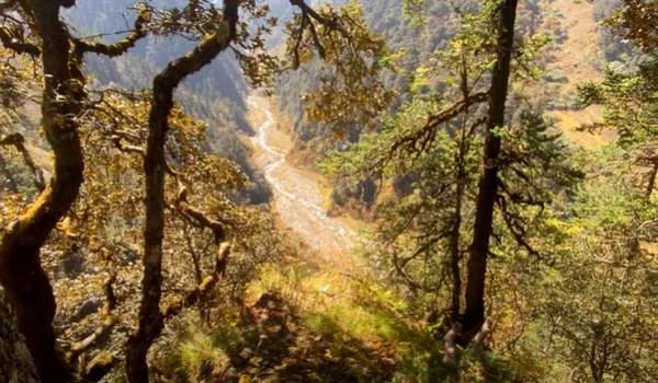 Gidara Bugyal Trek Package