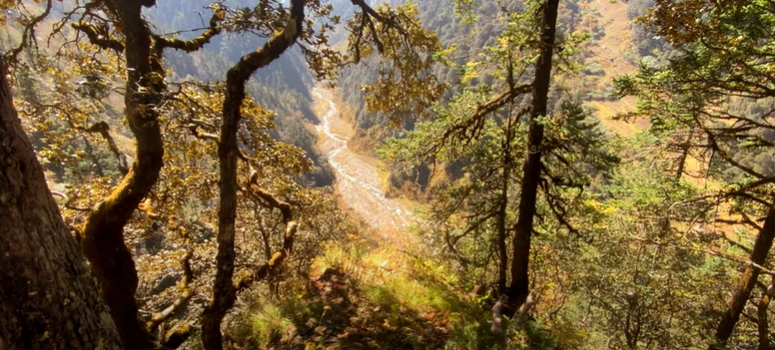 Gidara Bugyal Trek Package