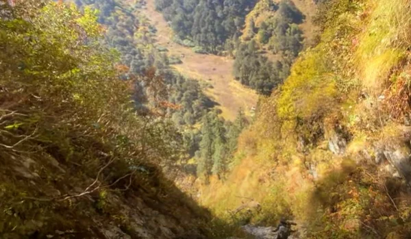 Gidara Bugyal Trek Package