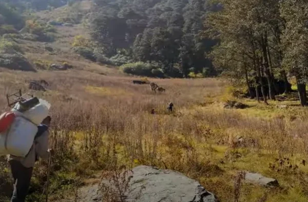 Gidara Bugyal Trek Package