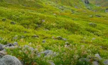 Hampta Pass Trek Package