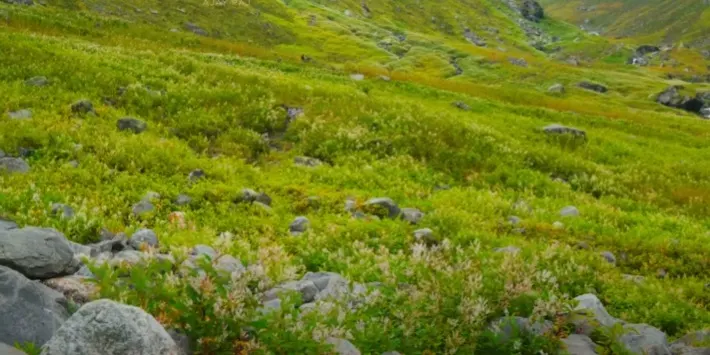 Hampta Pass Trek Package