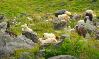 Hampta Pass Trek Package