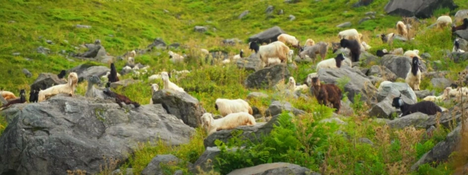Hampta Pass Trek Package