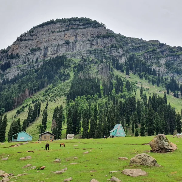 Tarsar Marsar Trek Package