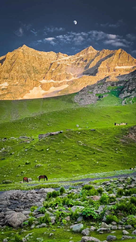 Tarsar Marsar Trek Package