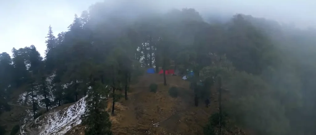 Foggy Brahmatal Trek campsite in Uttarakhand, Himalayan forest camping during Brahmatal winter trek, misty mountain campsite India, Brahmatal Trek pine forest view, Himalayan trekking adventure campsite