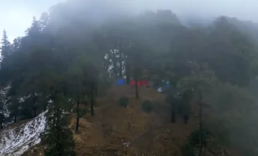 Foggy Brahmatal Trek campsite in Uttarakhand, Himalayan forest camping during Brahmatal winter trek, misty mountain campsite India, Brahmatal Trek pine forest view, Himalayan trekking adventure campsite