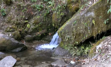 Brahmatal Trek natural water stream, Himalayan waterfall on Brahmatal Trek route, forest stream Uttarakhand trek, Brahmatal trekking trail nature view, Himalayan forest landscape India