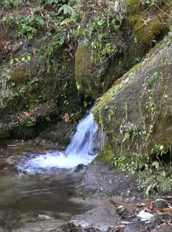 Brahmatal Trek natural water stream, Himalayan waterfall on Brahmatal Trek route, forest stream Uttarakhand trek, Brahmatal trekking trail nature view, Himalayan forest landscape India