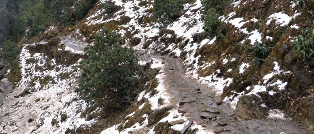 Snow-covered Brahmatal Trek trail, Brahmatal winter trek route Uttarakhand, Himalayan snowy trekking path India, Brahmatal Trek mountain trail, best snow trek in Uttarakhand