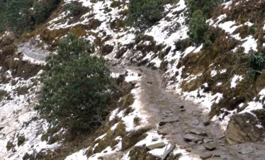 Snow-covered Brahmatal Trek trail, Brahmatal winter trek route Uttarakhand, Himalayan snowy trekking path India, Brahmatal Trek mountain trail, best snow trek in Uttarakhand