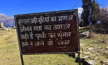 Dayara Bugyal Trek Package