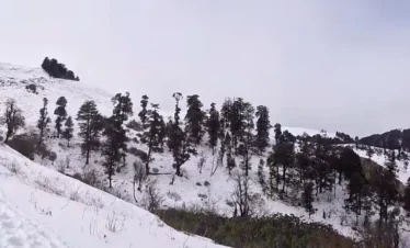 Dayara Bugyal Trek Package