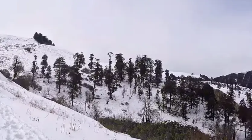 Dayara Bugyal Trek Package