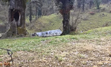 Dayara Bugyal Trek Package