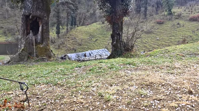 Dayara Bugyal Trek Package