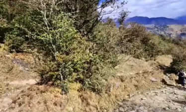 Dayara Bugyal Trek Package