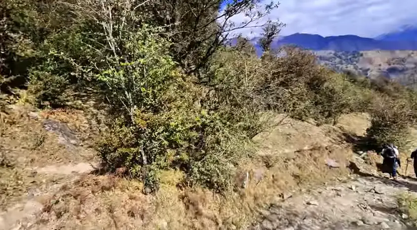 Dayara Bugyal Trek Package