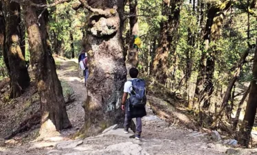 Dayara Bugyal Trek Package