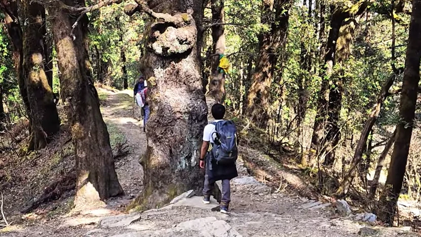 Dayara Bugyal Trek Package