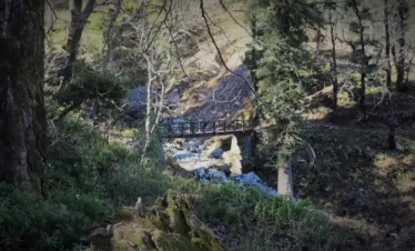 Kedarkantha Trek Package