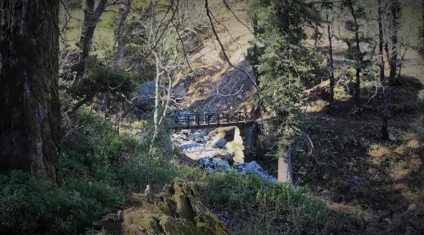 Kedarkantha Trek Package