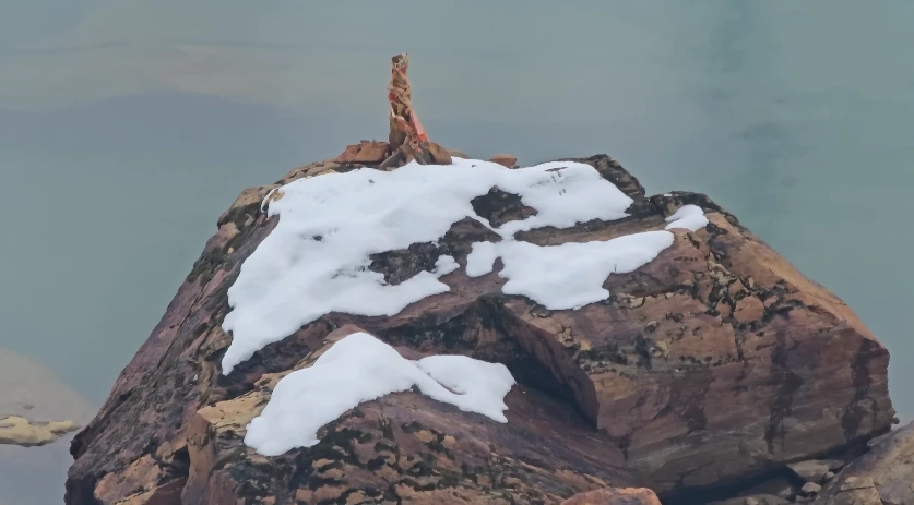 Kedar Tal Trek Package