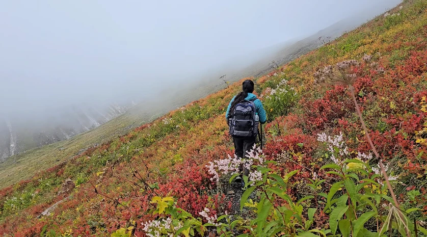 Kedar Tal Trek Package