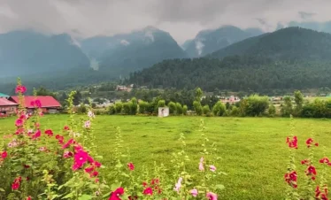 Nafran Valley Trek Package