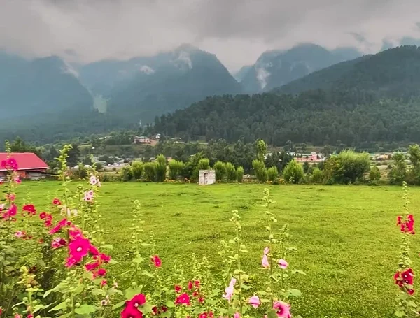 Nafran Valley Trek Package