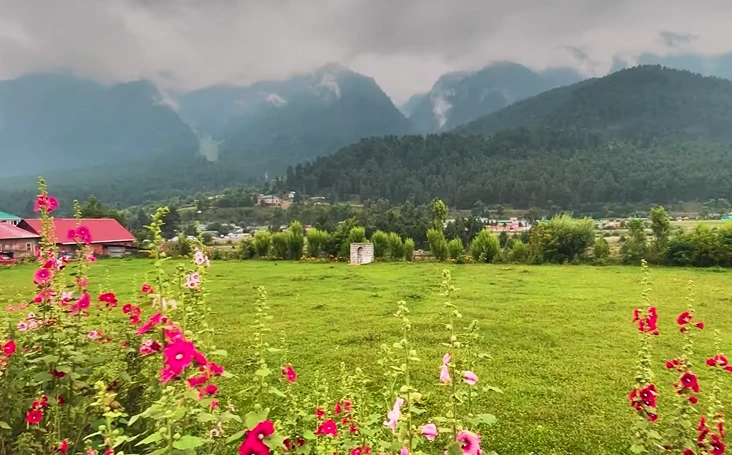 Nafran Valley Trek Package