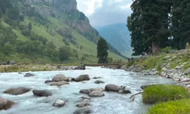 Nafran Valley Trek Package