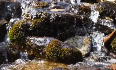 Pangarchulla Peak Trek Package