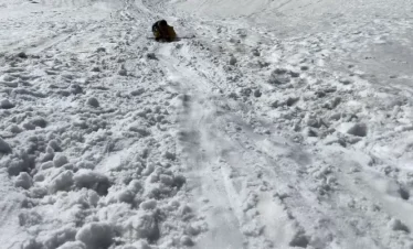 Pangarchulla Peak Trek Package