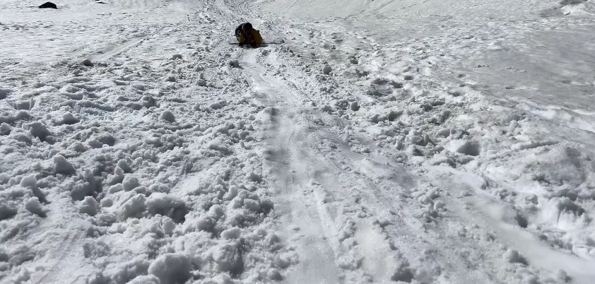 Pangarchulla Peak Trek Package