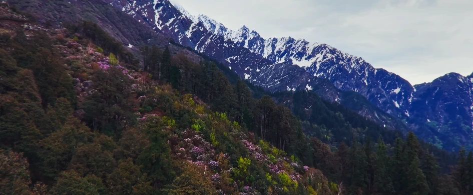 Sar Pass Trek Package