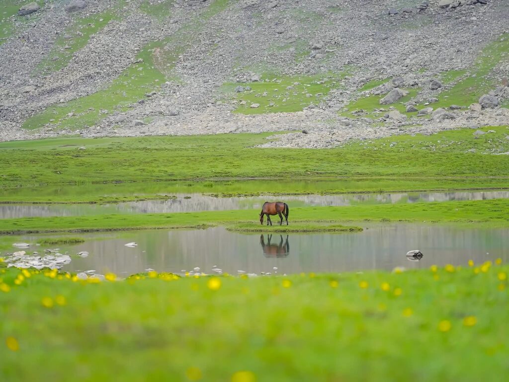 Tarsar Marsar Trek Package