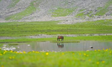 Tarsar Marsar Trek Package