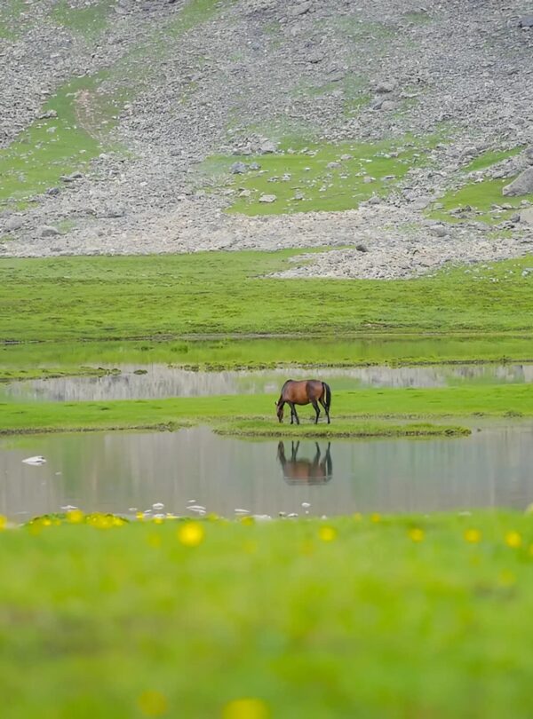 Tarsar Marsar Trek Package