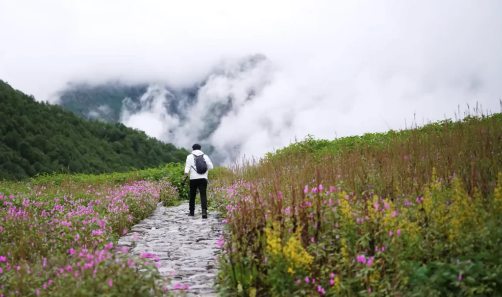 Valley of Flowers Trek Package By Mountain Hikers