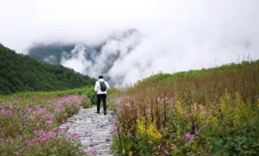 Valley of Flowers Trek Package By Mountain Hikers