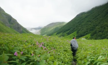 Valley of Flowers Trek Package By Mountain Hikers