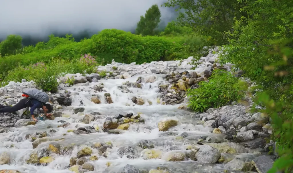 Valley of Flowers Trek Package By Mountain Hikers