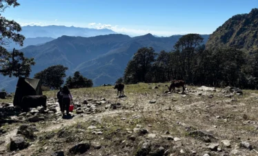 Rudranath Trek with Kalpeshwar Package By Mountain Hikers