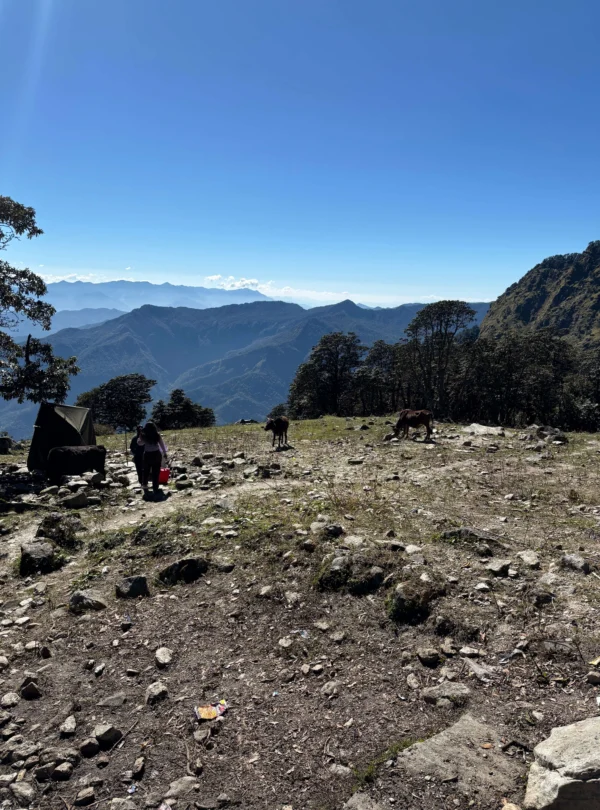 Rudranath Trek with Kalpeshwar Package By Mountain Hikers