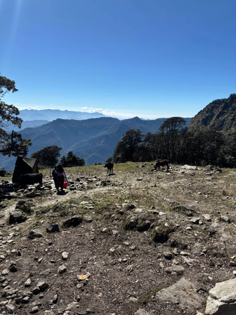 Rudranath Trek with Kalpeshwar Package By Mountain Hikers